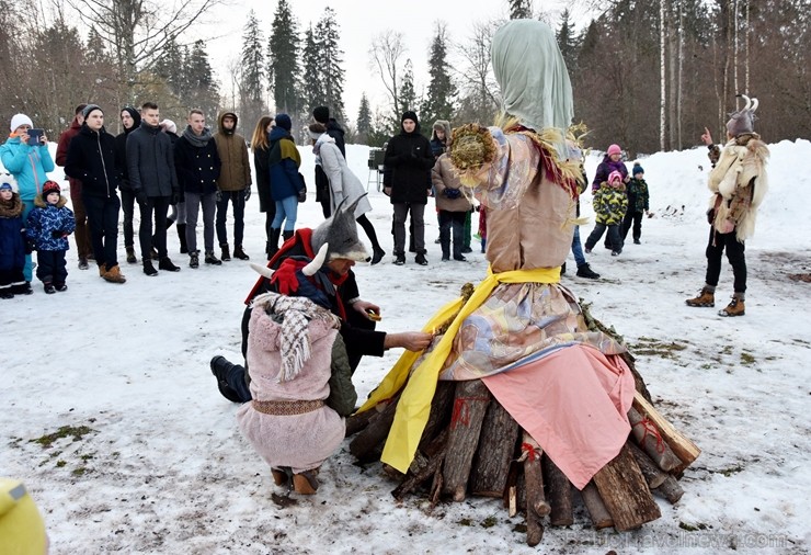 Kopā ar folkloristiem un latvisko tradīciju zinātājiem Alūksnē svinēja Meteņdienu, ejot rotaļās, lieloties, ēdot cūkas šņukuru, vizinoties no kalna un Kopā ar folkloristiem un latvisko tradīciju zinātājiem Alūksnē svinēja Meteņdienu, ejot rotaļās, lieloties, ēdot cūkas šņukuru, vizinoties no kalna un 245973