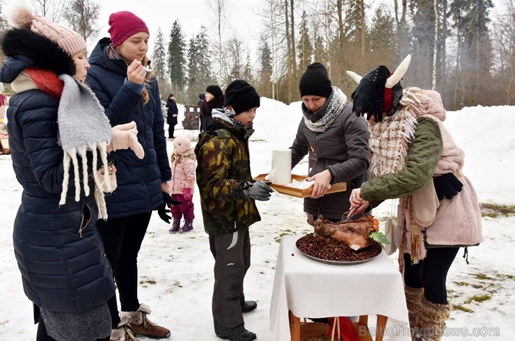 Kopā ar folkloristiem un latvisko tradīciju zinātājiem Alūksnē svinēja Meteņdienu, ejot rotaļās, lieloties, ēdot cūkas šņukuru, vizinoties no kalna un Kopā ar folkloristiem un latvisko tradīciju zinātājiem Alūksnē svinēja Meteņdienu, ejot rotaļās, lieloties, ēdot cūkas šņukuru, vizinoties no kalna un 245977