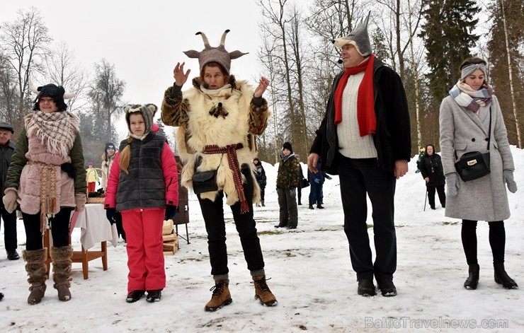 Kopā ar folkloristiem un latvisko tradīciju zinātājiem Alūksnē svinēja Meteņdienu, ejot rotaļās, lieloties, ēdot cūkas šņukuru, vizinoties no kalna un Kopā ar folkloristiem un latvisko tradīciju zinātājiem Alūksnē svinēja Meteņdienu, ejot rotaļās, lieloties, ēdot cūkas šņukuru, vizinoties no kalna un 245979