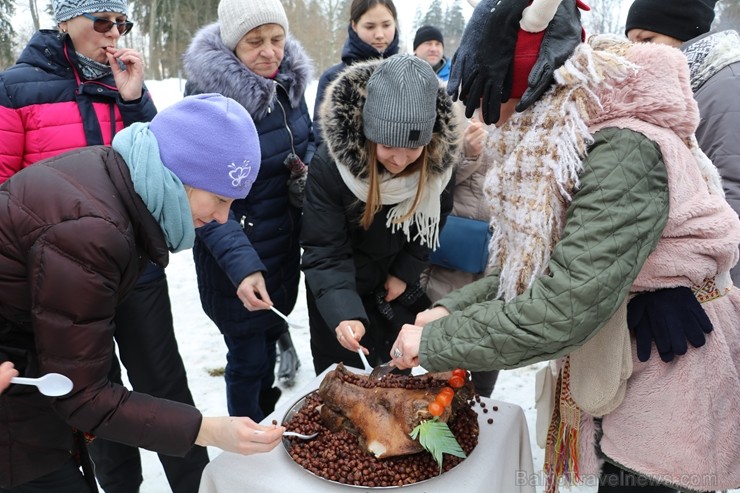 Kopā ar folkloristiem un latvisko tradīciju zinātājiem Alūksnē svinēja Meteņdienu, ejot rotaļās, lieloties, ēdot cūkas šņukuru, vizinoties no kalna un Kopā ar folkloristiem un latvisko tradīciju zinātājiem Alūksnē svinēja Meteņdienu, ejot rotaļās, lieloties, ēdot cūkas šņukuru, vizinoties no kalna un 245987