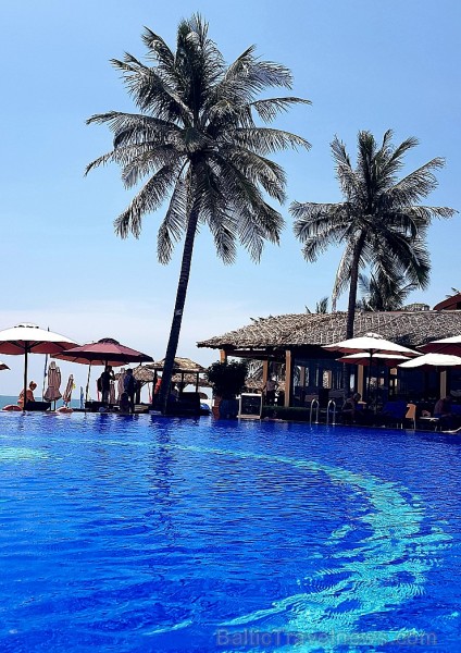 Travelnews.lv iepazīst Vjetnamas pludmales viesnīcas «Seahorse Resort & Spa» kopā ar 365 brīvdienas un Turkish Airlines Travelnews.lv iepazīst Vjetnamas pludmales viesnīcas «Seahorse Resort & Spa» kopā ar 365 brīvdienas un Turkish Airlines 246437