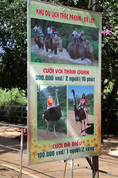 Travelnews.lv iesaka ignorēt zoodārzu Prenn parkā līdz dzīvnieku uzturēšanas apstākļu būtiskai uzlabošanai. Atbalsta: 365 brīvdienas Travelnews.lv iesaka ignorēt zoodārzu Prenn parkā līdz dzīvnieku uzturēšanas apstākļu būtiskai uzlabošanai. Atbalsta: 365 brīvdienas 246963