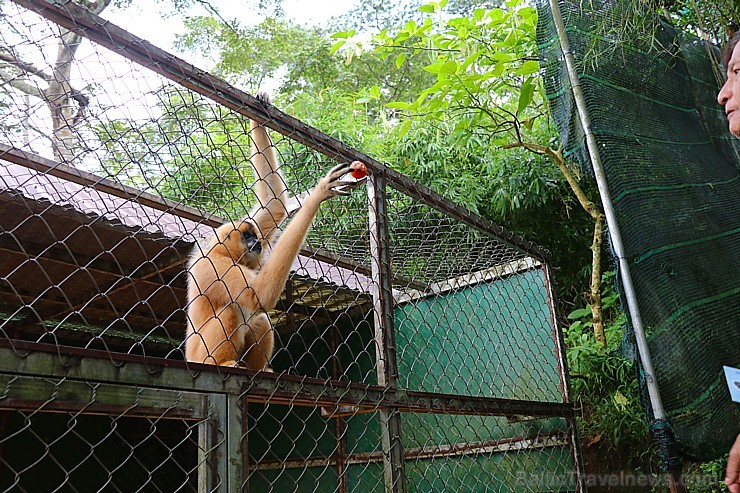 Travelnews.lv iesaka ignorēt zoodārzu Prenn parkā līdz dzīvnieku uzturēšanas apstākļu būtiskai uzlabošanai. Atbalsta: 365 brīvdienas Travelnews.lv iesaka ignorēt zoodārzu Prenn parkā līdz dzīvnieku uzturēšanas apstākļu būtiskai uzlabošanai. Atbalsta: 365 brīvdienas 246983