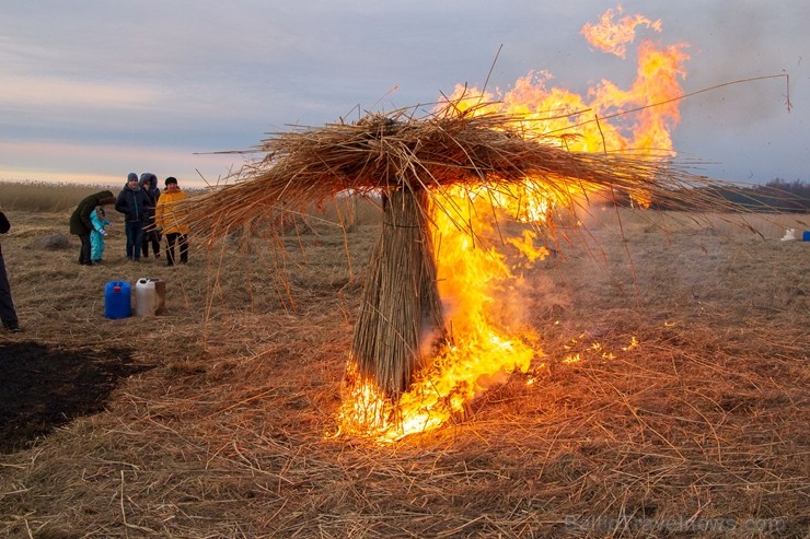 Dabai draudzīgajā Niedru skulptūru festivālā, kas norisinājās 2. martā,bija iespēja radoši izpausties un aizraujoši pavadīt laiku brīvā dabā, no pašu Dabai draudzīgajā Niedru skulptūru festivālā, kas norisinājās 2. martā,bija iespēja radoši izpausties un aizraujoši pavadīt laiku brīvā dabā, no pašu 248158