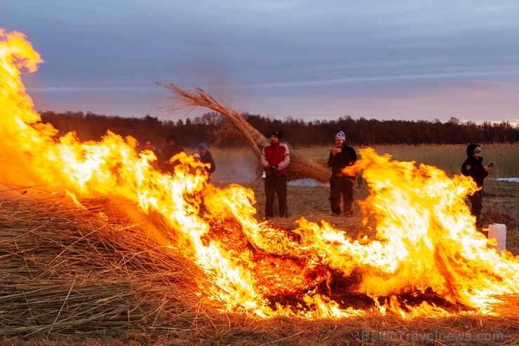 Dabai draudzīgajā Niedru skulptūru festivālā, kas norisinājās 2. martā,bija iespēja radoši izpausties un aizraujoši pavadīt laiku brīvā dabā, no pašu Dabai draudzīgajā Niedru skulptūru festivālā, kas norisinājās 2. martā,bija iespēja radoši izpausties un aizraujoši pavadīt laiku brīvā dabā, no pašu 248159