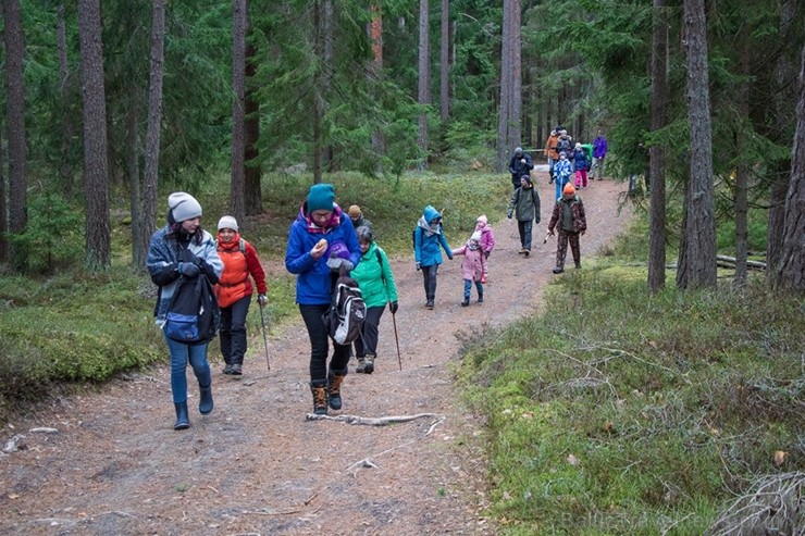 Pārgājiena dalībnieki baudīja pavasari, kā arī dabas izglītības speciālista vadībā uzzināja daudz ko jaunu par dabu un apkārtnes kultūrvēsturi Svētcie 249705