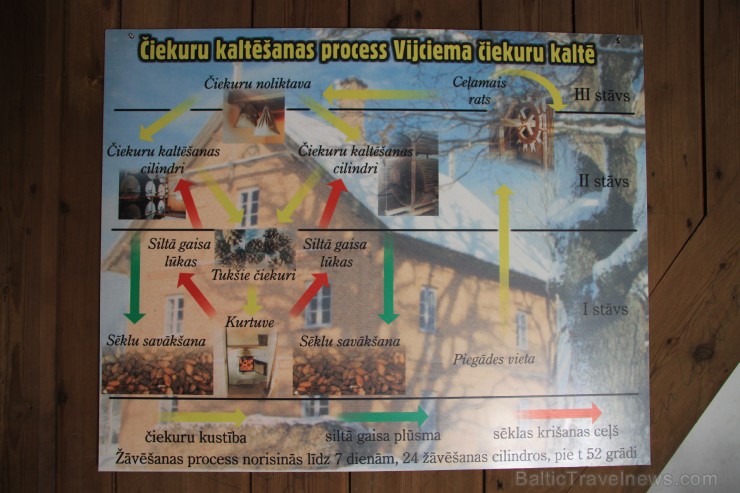 Meža dzīve sākas šeit, kur no speciāli savāktiem čiekuriem (ne tiem, ko mēs parasti redzam sabirušus zemē zem eglēm vai priedēm) dzimst jaunas sēkliņa Meža dzīve sākas šeit, kur no speciāli savāktiem čiekuriem (ne tiem, ko mēs parasti redzam sabirušus zemē zem eglēm vai priedēm) dzimst jaunas sēkliņa 251369