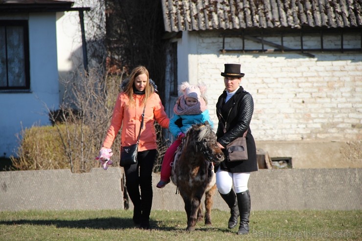 Lieldienu tirdziņš Lielvārdē pirmssvētku laikā pulcēja ne vien prāvu tirgotāju, bet arī apmeklētāju pulku Lieldienu tirdziņš Lielvārdē pirmssvētku laikā pulcēja ne vien prāvu tirgotāju, bet arī apmeklētāju pulku 251934