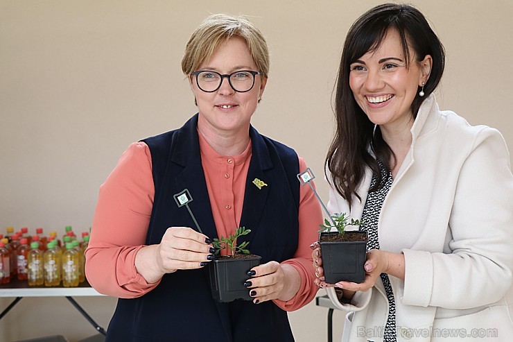 Kafijas vairumtirgotājs «Paulig Coffee Latvia» kafijas biezumus vedīs pētnieku eksperimentiem sadarbībā ar Nacionālā botāniskā dārzu un «Eco Baltia» Kafijas vairumtirgotājs «Paulig Coffee Latvia» kafijas biezumus vedīs pētnieku eksperimentiem sadarbībā ar Nacionālā botāniskā dārzu un «Eco Baltia» 255460