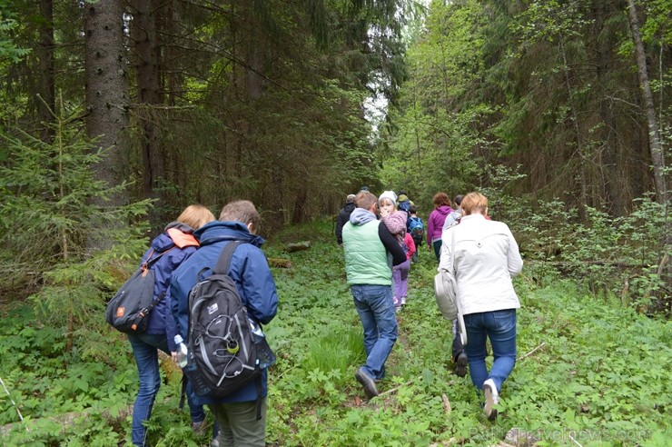 Pārgājiena gaitā tika apskatīti kukaiņi, ķērpji, gliemeži un sēnes, bet lielu interesi radīja sarkanās ērces, Plaušu ķērpja, Gludā vārsptiņgliemeža, n Pārgājiena gaitā tika apskatīti kukaiņi, ķērpji, gliemeži un sēnes, bet lielu interesi radīja sarkanās ērces, Plaušu ķērpja, Gludā vārsptiņgliemeža, n 255507