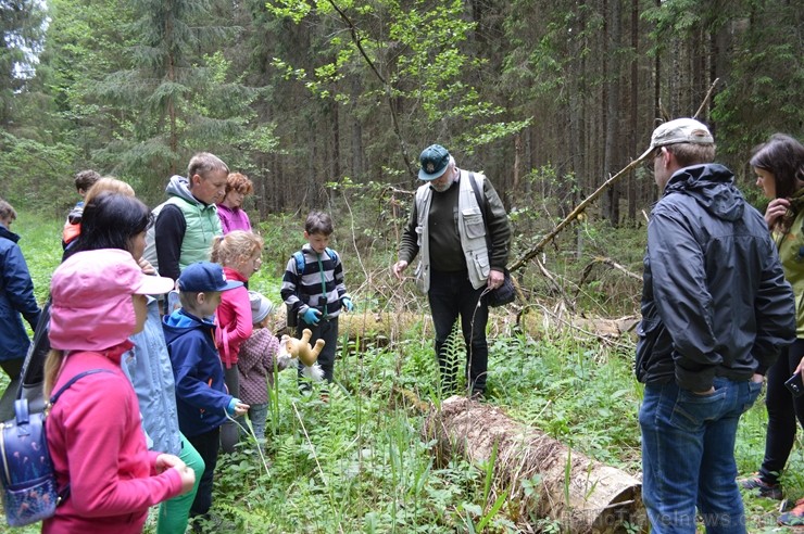 Pārgājiena gaitā tika apskatīti kukaiņi, ķērpji, gliemeži un sēnes, bet lielu interesi radīja sarkanās ērces, Plaušu ķērpja, Gludā vārsptiņgliemeža, n 255509