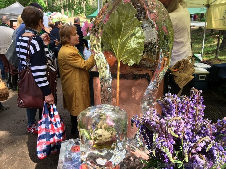 Latvijas Etnogrāfiskajā brīvdabas muzejā no 1. līdz 2. jūnijam jau 49. rīkoja Latviešu tautas lietišķās mākslas darinājumu Gadatirgu, kas pulcēja Latv Latvijas Etnogrāfiskajā brīvdabas muzejā no 1. līdz 2. jūnijam jau 49. rīkoja Latviešu tautas lietišķās mākslas darinājumu Gadatirgu, kas pulcēja Latv 256170