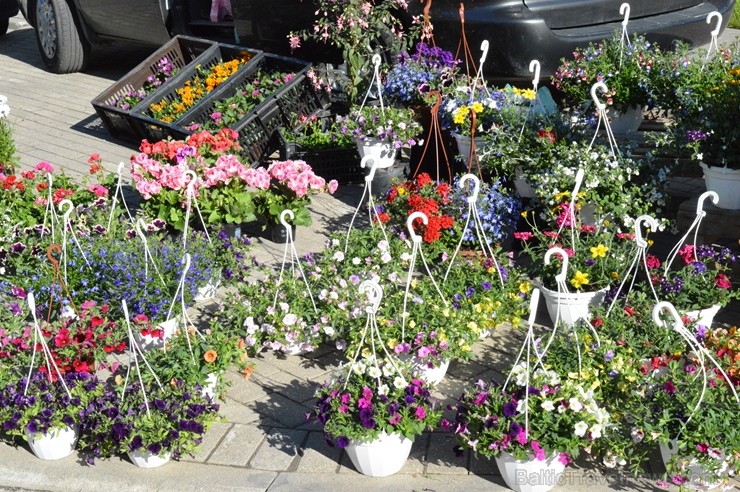 Gulbenes Zaļais tirdziņš notiek katra mēneša trešajā sestdienā un tajā var atrast tikai pašu novadnieku ražotu, audzētu un darinātu produkciju Gulbenes Zaļais tirdziņš notiek katra mēneša trešajā sestdienā un tajā var atrast tikai pašu novadnieku ražotu, audzētu un darinātu produkciju 257361