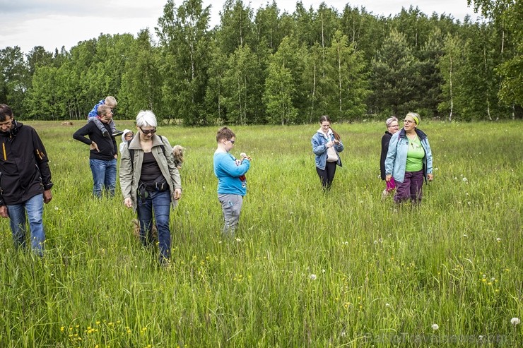 Jau 10. gadu ar pārgājieniem Dundagas novada dabā un unikālajā kultūrvidē vasaras sākumā rīkoja Slīteres Ceļotāju dienas, savukārt Mājas kafejnīcu die Jau 10. gadu ar pārgājieniem Dundagas novada dabā un unikālajā kultūrvidē vasaras sākumā rīkoja Slīteres Ceļotāju dienas, savukārt Mājas kafejnīcu die 258533