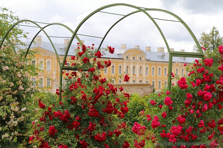 Travelnews.lv apmeklē Latvijas vienu no populārākajiem tūrisma objektiem - Rundāles pili 258786