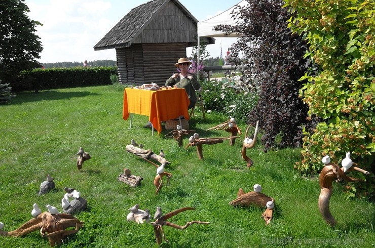 Amatas novada Āraišu vējdzirnavās Maizes dienā smaržoja klaipiņi, rosījās cepējas baltos priekšautos un pulciņiem vien nākca viesi - rudzu maizes cien Amatas novada Āraišu vējdzirnavās Maizes dienā smaržoja klaipiņi, rosījās cepējas baltos priekšautos un pulciņiem vien nākca viesi - rudzu maizes cien 260471