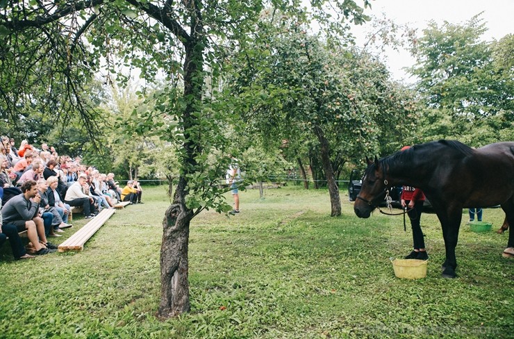 Ar deviņām izrādēm, izzinošām aktivitātēm un devīzi Ar deviņām izrādēm, izzinošām aktivitātēm un devīzi