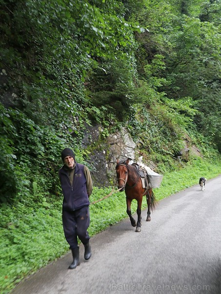 Travelnews.lv izbrauc Gruzijas autostrādes, kalnu asfalta ceļus un vēro dažādos žogu vārtus 262176