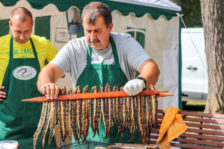 Nēģu svētki ir vērienīgākie svētki Carnikavas novadā, kuri ik gadu tiek svinēti augustā, atzīmējot nēģu zvejas sezonas atklāšanu Nēģu svētki ir vērienīgākie svētki Carnikavas novadā, kuri ik gadu tiek svinēti augustā, atzīmējot nēģu zvejas sezonas atklāšanu 263341