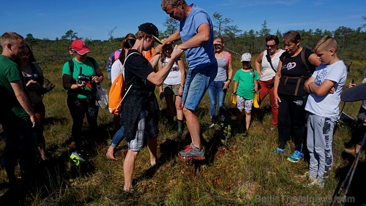 Ziemeļvidzemes biosfēras rezervāts ir vienīgā šāda veida īpaši aizsargājamā dabas teritorija Latvijā, kas aptver 457 600 hektārus sauszemes un 16 750 Ziemeļvidzemes biosfēras rezervāts ir vienīgā šāda veida īpaši aizsargājamā dabas teritorija Latvijā, kas aptver 457 600 hektārus sauszemes un 16 750 263677