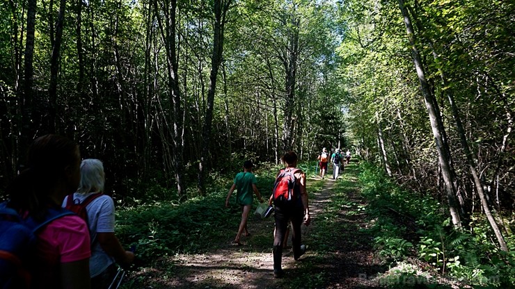 Ziemeļvidzemes biosfēras rezervāts ir vienīgā šāda veida īpaši aizsargājamā dabas teritorija Latvijā, kas aptver 457 600 hektārus sauszemes un 16 750 Ziemeļvidzemes biosfēras rezervāts ir vienīgā šāda veida īpaši aizsargājamā dabas teritorija Latvijā, kas aptver 457 600 hektārus sauszemes un 16 750 263687