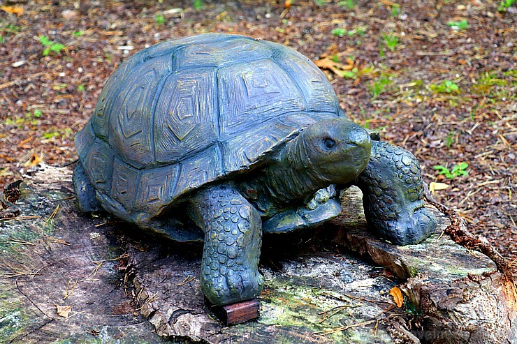 Jūrmala 1.septembri sagaida ar saulainu un labi apmeklētu pludmali. Attēlā - Restorāns Simmer 264023