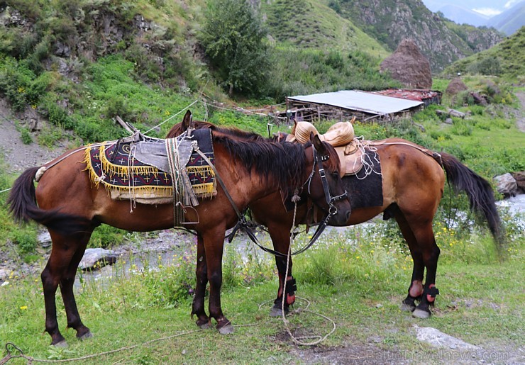Travelnews.lv apmeklē Mutso ciemu Kaukāza kalnos un iepazīst viduslaiku cietoksni. Atbalsta: Georgia.Travel Travelnews.lv apmeklē Mutso ciemu Kaukāza kalnos un iepazīst viduslaiku cietoksni. Atbalsta: Georgia.Travel 264102