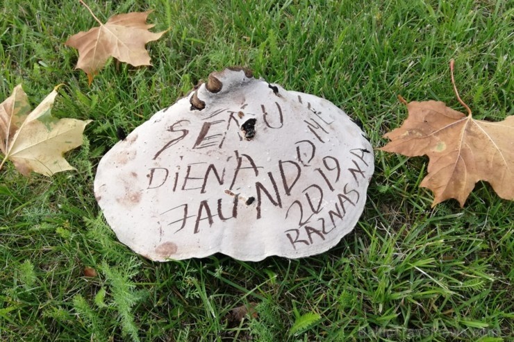 Sēņu dienas apmeklētāji varēja iepazīties ar ēdamām, indīgām un aizsargājamām sēnēm, veidot sēnes, salikt puzles un uzzināt par sēnēm piemērotām dzīvo Sēņu dienas apmeklētāji varēja iepazīties ar ēdamām, indīgām un aizsargājamām sēnēm, veidot sēnes, salikt puzles un uzzināt par sēnēm piemērotām dzīvo 264484