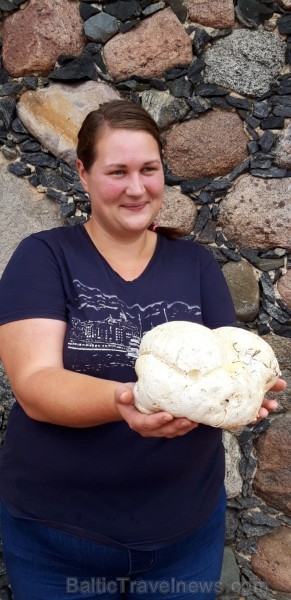 Sēņu dienas apmeklētāji varēja iepazīties ar ēdamām, indīgām un aizsargājamām sēnēm, veidot sēnes, salikt puzles un uzzināt par sēnēm piemērotām dzīvo Sēņu dienas apmeklētāji varēja iepazīties ar ēdamām, indīgām un aizsargājamām sēnēm, veidot sēnes, salikt puzles un uzzināt par sēnēm piemērotām dzīvo 264493