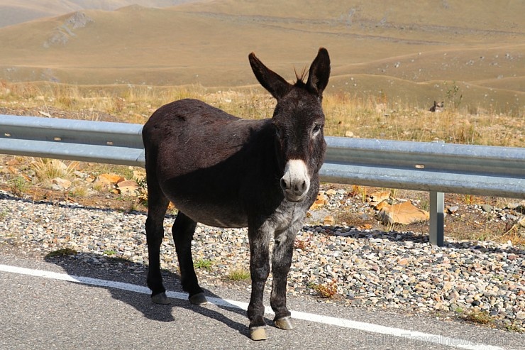 Travelnews.lv ar auto apceļo Kabarda-Balkārijas republiku Krievijā. Atbalsta: Magtur 267449