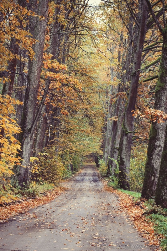 Gulbenē un tās apkārtnē rudens krāšņi izrotājis dabu, ļaujot ikvienam izbaudīt pasakainas ainavas Gulbenē un tās apkārtnē rudens krāšņi izrotājis dabu, ļaujot ikvienam izbaudīt pasakainas ainavas 267688