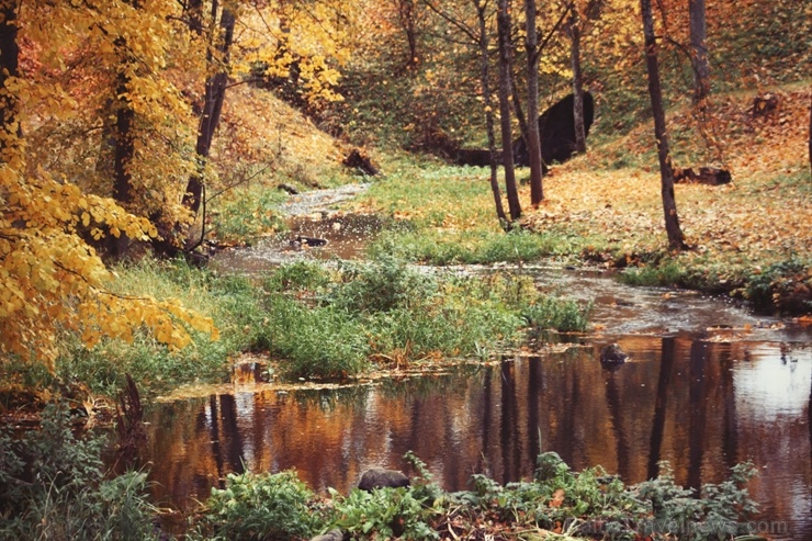 Gulbenē un tās apkārtnē rudens krāšņi izrotājis dabu, ļaujot ikvienam izbaudīt pasakainas ainavas Gulbenē un tās apkārtnē rudens krāšņi izrotājis dabu, ļaujot ikvienam izbaudīt pasakainas ainavas 267692