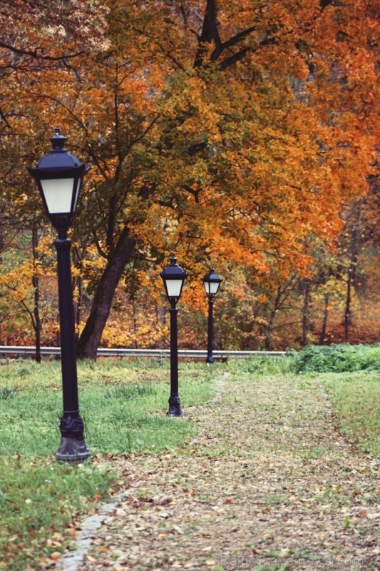 Gulbenē un tās apkārtnē rudens krāšņi izrotājis dabu, ļaujot ikvienam izbaudīt pasakainas ainavas Gulbenē un tās apkārtnē rudens krāšņi izrotājis dabu, ļaujot ikvienam izbaudīt pasakainas ainavas 267697