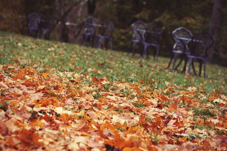 Gulbenē un tās apkārtnē rudens krāšņi izrotājis dabu, ļaujot ikvienam izbaudīt pasakainas ainavas Gulbenē un tās apkārtnē rudens krāšņi izrotājis dabu, ļaujot ikvienam izbaudīt pasakainas ainavas 267698