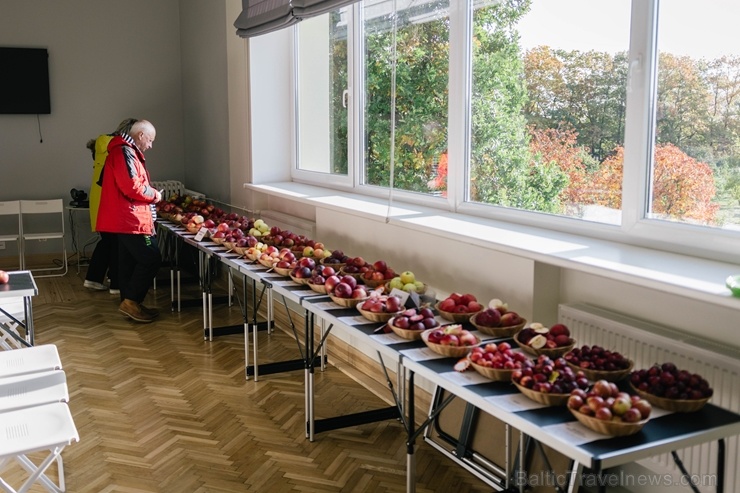 Jau astoto gadu Latvijas sulīgākais festivāls Dobelē pulcē novada un apkārtnes mājražotājus, stādaudzētājus, augļkopjus un interesentus Jau astoto gadu Latvijas sulīgākais festivāls Dobelē pulcē novada un apkārtnes mājražotājus, stādaudzētājus, augļkopjus un interesentus 267704