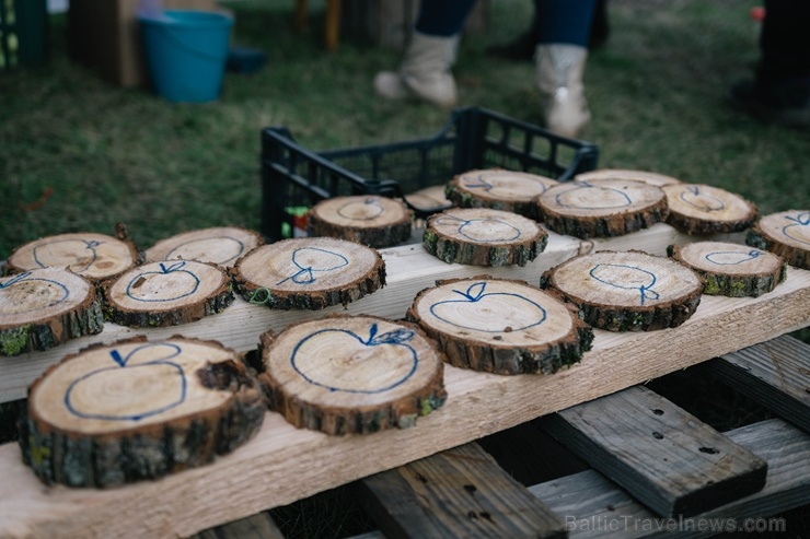 Jau astoto gadu Latvijas sulīgākais festivāls Dobelē pulcē novada un apkārtnes mājražotājus, stādaudzētājus, augļkopjus un interesentus Jau astoto gadu Latvijas sulīgākais festivāls Dobelē pulcē novada un apkārtnes mājražotājus, stādaudzētājus, augļkopjus un interesentus 267713