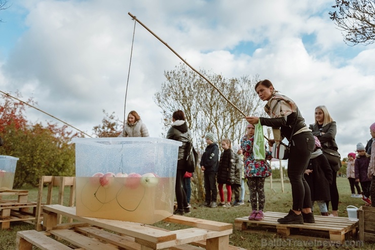 Jau astoto gadu Latvijas sulīgākais festivāls Dobelē pulcē novada un apkārtnes mājražotājus, stādaudzētājus, augļkopjus un interesentus Jau astoto gadu Latvijas sulīgākais festivāls Dobelē pulcē novada un apkārtnes mājražotājus, stādaudzētājus, augļkopjus un interesentus 267721