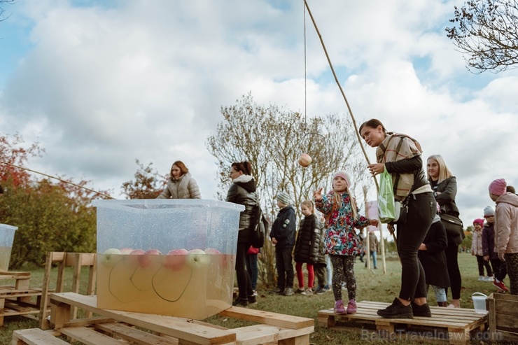 Jau astoto gadu Latvijas sulīgākais festivāls Dobelē pulcē novada un apkārtnes mājražotājus, stādaudzētājus, augļkopjus un interesentus Jau astoto gadu Latvijas sulīgākais festivāls Dobelē pulcē novada un apkārtnes mājražotājus, stādaudzētājus, augļkopjus un interesentus 267722