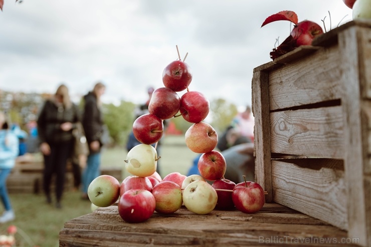 Jau astoto gadu Latvijas sulīgākais festivāls Dobelē pulcē novada un apkārtnes mājražotājus, stādaudzētājus, augļkopjus un interesentus Jau astoto gadu Latvijas sulīgākais festivāls Dobelē pulcē novada un apkārtnes mājražotājus, stādaudzētājus, augļkopjus un interesentus 267724