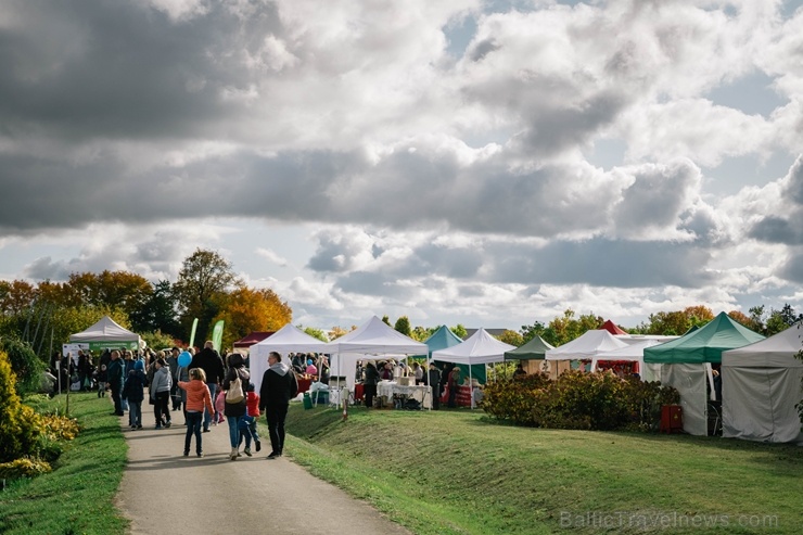 Jau astoto gadu Latvijas sulīgākais festivāls Dobelē pulcē novada un apkārtnes mājražotājus, stādaudzētājus, augļkopjus un interesentus Jau astoto gadu Latvijas sulīgākais festivāls Dobelē pulcē novada un apkārtnes mājražotājus, stādaudzētājus, augļkopjus un interesentus 267730