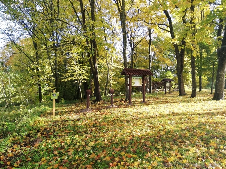Jaundomes dabas taka Dagdā lieliski papildinās Jaundomes muižas Vides izglītības centra piedāvājumu - tūristi varēs ne tikai iepazīt ezera pasauli ek Jaundomes dabas taka Dagdā lieliski papildinās Jaundomes muižas Vides izglītības centra piedāvājumu - tūristi varēs ne tikai iepazīt ezera pasauli ek 268547