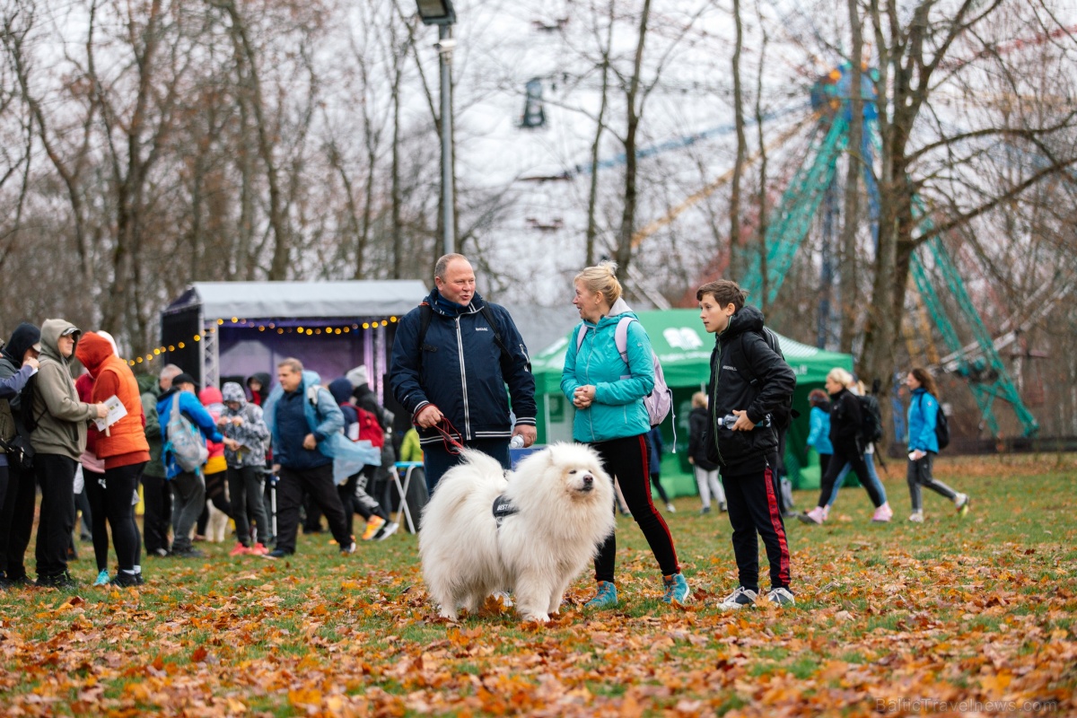 Spītējot drēgnajam un lietainajam laikam, Siguldas Spītējot drēgnajam un lietainajam laikam, Siguldas