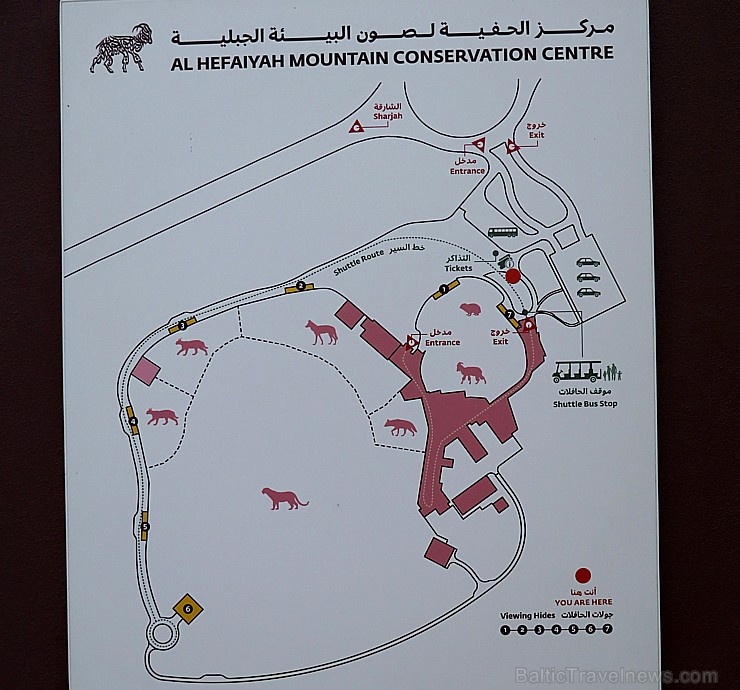 Travelnews.lv apmeklē dabas aizsardzības centru «Al Hefaiyah Mountain Conservation Centre». Atbalsta: VisitSharjah.com un Novatours.lv Travelnews.lv apmeklē dabas aizsardzības centru «Al Hefaiyah Mountain Conservation Centre». Atbalsta: VisitSharjah.com un Novatours.lv 269724