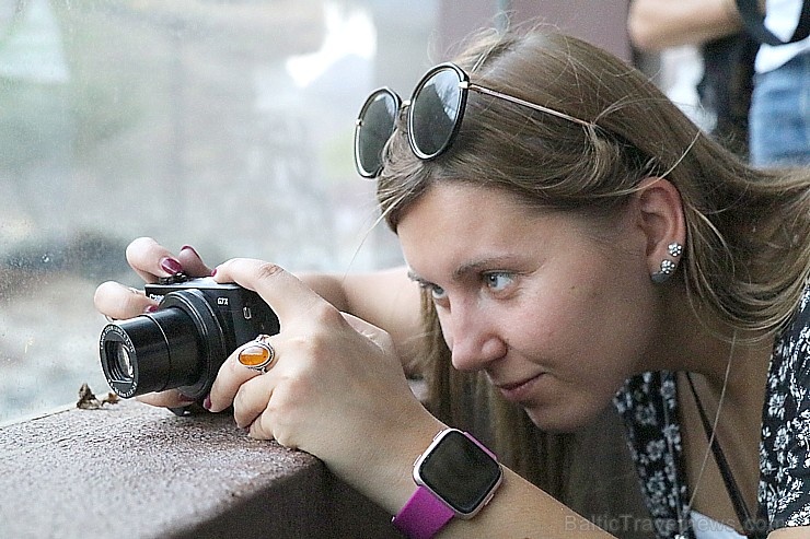 Travelnews.lv apmeklē dabas aizsardzības centru «Al Hefaiyah Mountain Conservation Centre». Atbalsta: VisitSharjah.com un Novatours.lv Travelnews.lv apmeklē dabas aizsardzības centru «Al Hefaiyah Mountain Conservation Centre». Atbalsta: VisitSharjah.com un Novatours.lv 269736