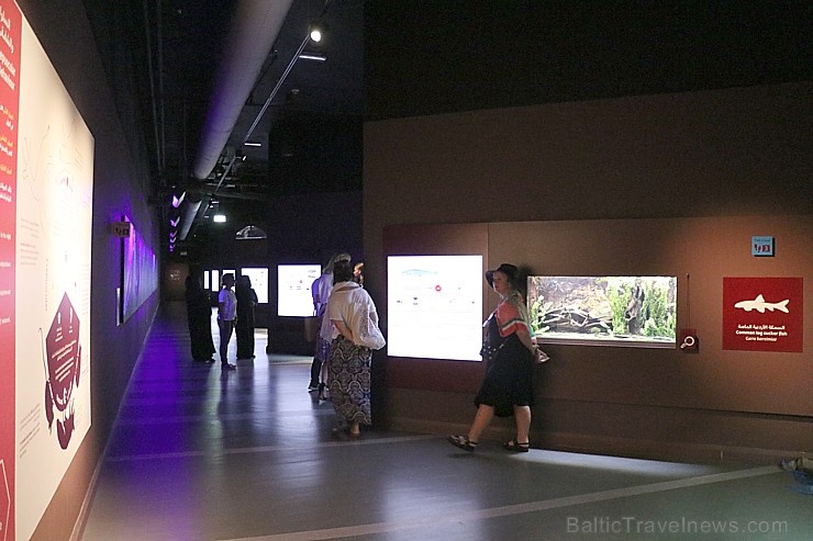 Travelnews.lv apmeklē dabas aizsardzības centru «Al Hefaiyah Mountain Conservation Centre». Atbalsta: VisitSharjah.com un Novatours.lv Travelnews.lv apmeklē dabas aizsardzības centru «Al Hefaiyah Mountain Conservation Centre». Atbalsta: VisitSharjah.com un Novatours.lv 269751