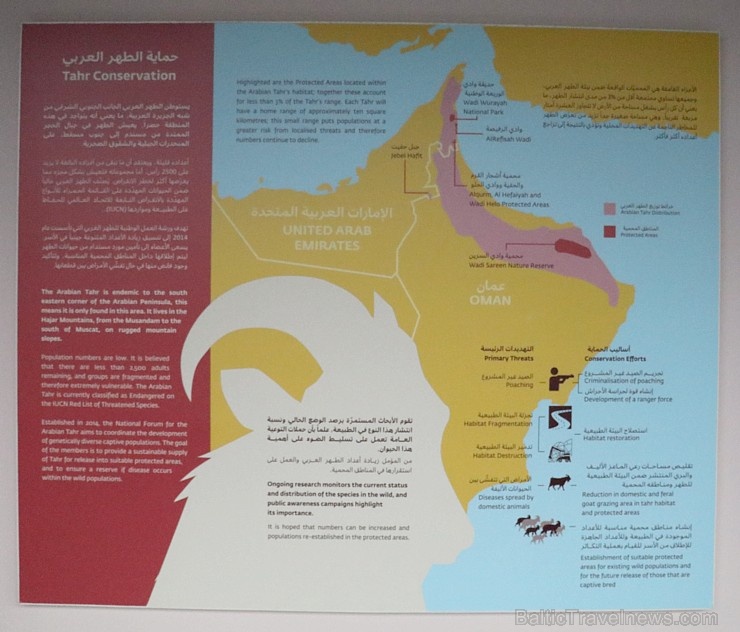 Travelnews.lv apmeklē dabas aizsardzības centru «Al Hefaiyah Mountain Conservation Centre». Atbalsta: VisitSharjah.com un Novatours.lv Travelnews.lv apmeklē dabas aizsardzības centru «Al Hefaiyah Mountain Conservation Centre». Atbalsta: VisitSharjah.com un Novatours.lv 269758