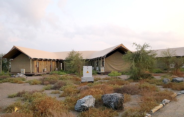 Travelnews.lv ar nakšņojumu iepazīst burvīgu vietu uz salas «Kingfisher Lodge». Atbalsta: VisitSharjah.com un Novatours.lv Travelnews.lv ar nakšņojumu iepazīst burvīgu vietu uz salas «Kingfisher Lodge». Atbalsta: VisitSharjah.com un Novatours.lv 269901