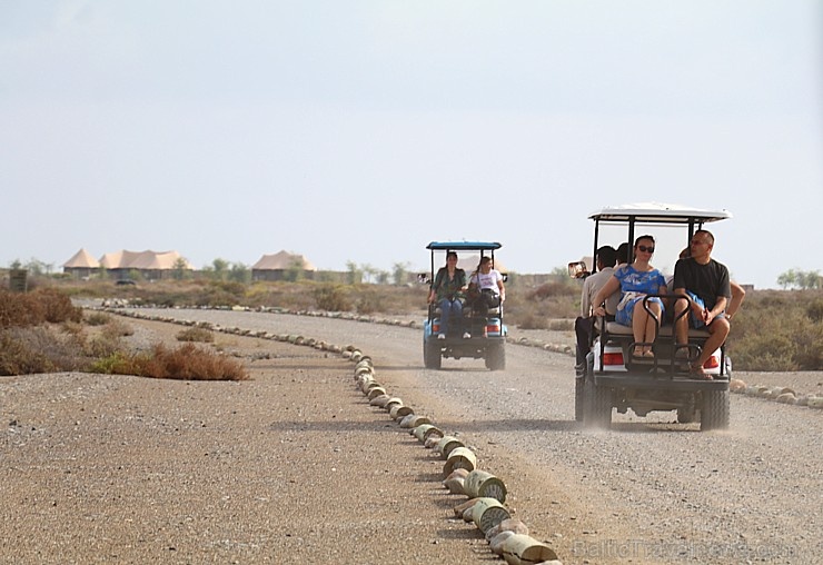 Travelnews.lv ar nakšņojumu iepazīst burvīgu vietu uz salas «Kingfisher Lodge». Atbalsta: VisitSharjah.com un Novatours.lv Travelnews.lv ar nakšņojumu iepazīst burvīgu vietu uz salas «Kingfisher Lodge». Atbalsta: VisitSharjah.com un Novatours.lv 269952