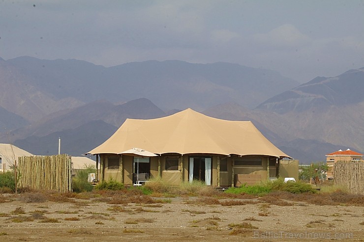 Travelnews.lv ar nakšņojumu iepazīst burvīgu vietu uz salas «Kingfisher Lodge». Atbalsta: VisitSharjah.com un Novatours.lv Travelnews.lv ar nakšņojumu iepazīst burvīgu vietu uz salas «Kingfisher Lodge». Atbalsta: VisitSharjah.com un Novatours.lv 269967