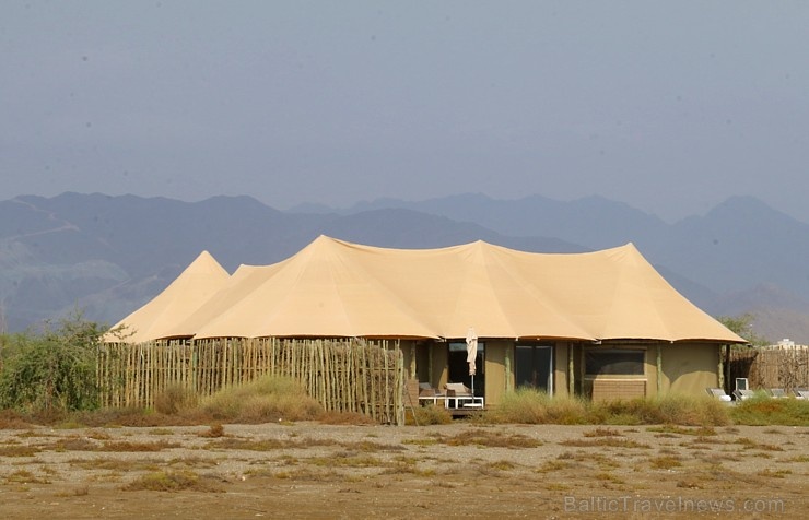 Travelnews.lv ar nakšņojumu iepazīst burvīgu vietu uz salas «Kingfisher Lodge». Atbalsta: VisitSharjah.com un Novatours.lv Travelnews.lv ar nakšņojumu iepazīst burvīgu vietu uz salas «Kingfisher Lodge». Atbalsta: VisitSharjah.com un Novatours.lv 269968